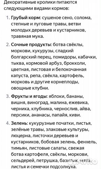 Декоративные кролики
