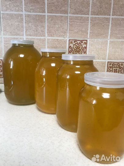 Мед 2023 мёд свежий. Мёд в сотах