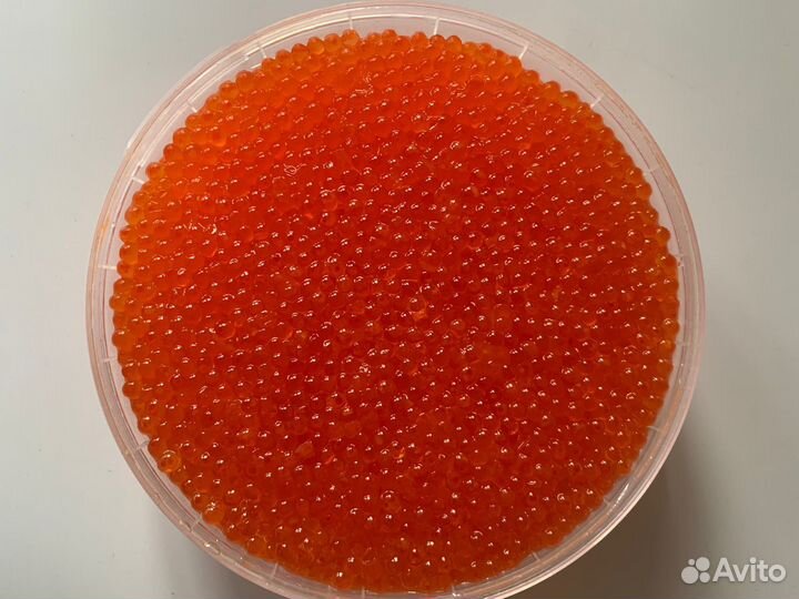 Икра форели / карелия