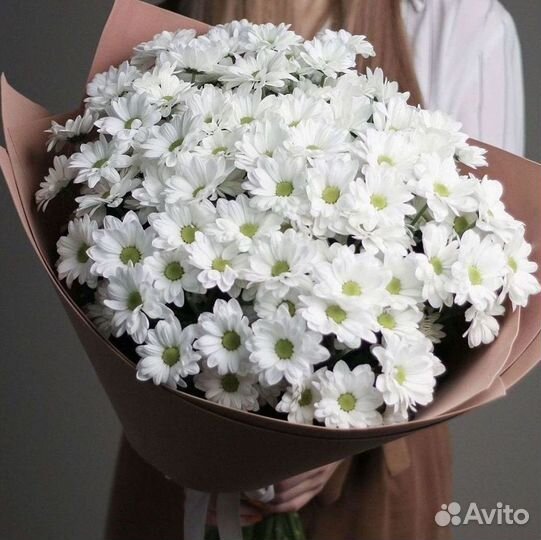 Хризантема Букет хризантем Доставка