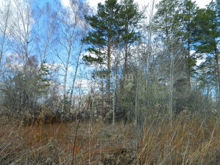 Участок 7,8 сот. (СНТ, ДНП)