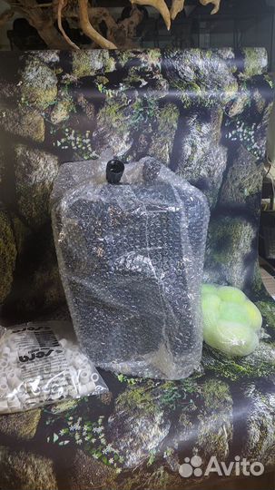 Внешний фильтр для аквариума. Аквариум. Рыбки