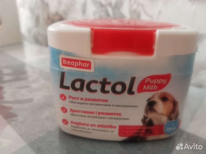 Сучье молоко