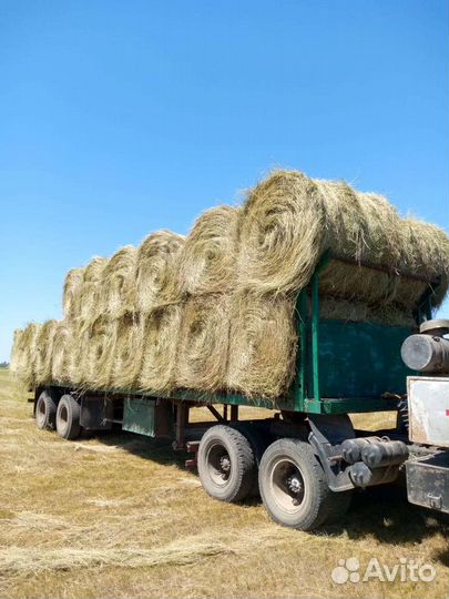 Сено луговое урожай 2023