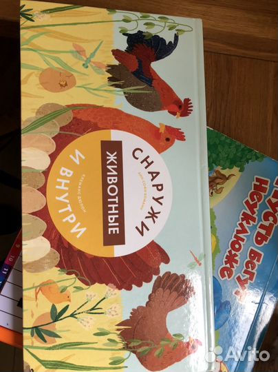 Животные сеаружи и внутри. Книга с окошечками