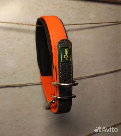 Амуниция для собак