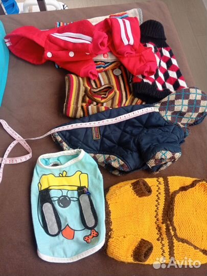 Наряды для питомца