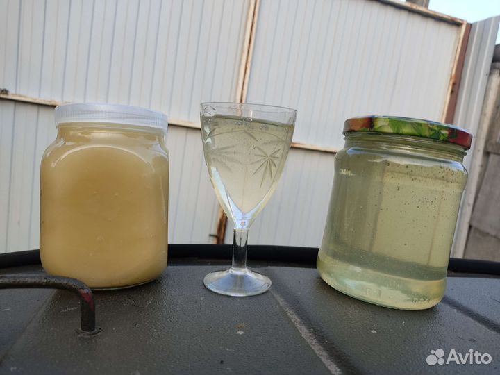 Мед Акация,разнотравье,рапс