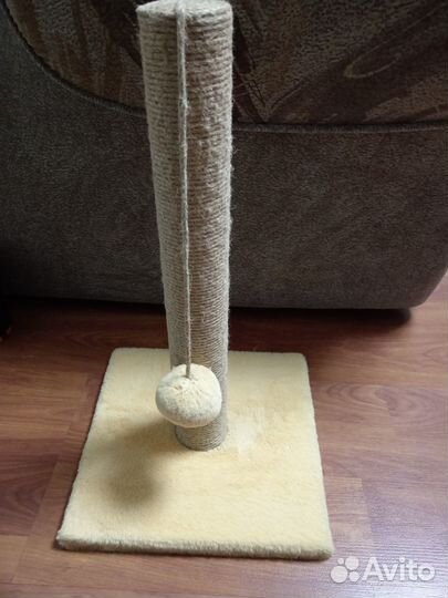 Когтеточка