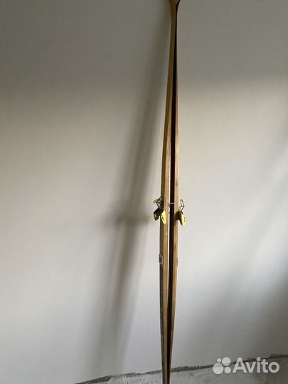 Беговые лыжи