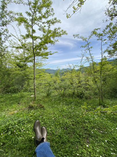 Участок 15 сот. (ИЖС)