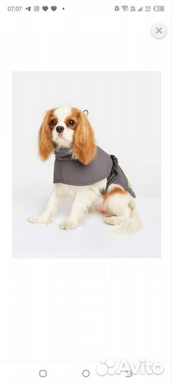 Попона для собак