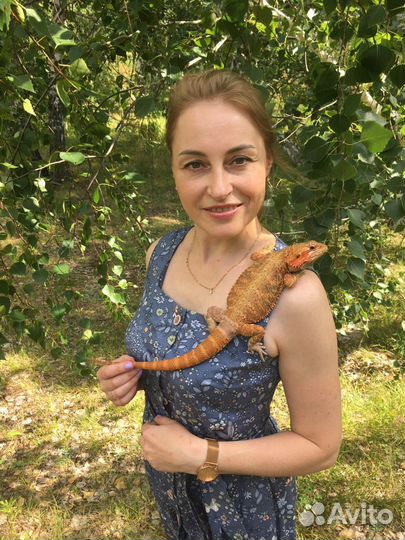 Передержка животных