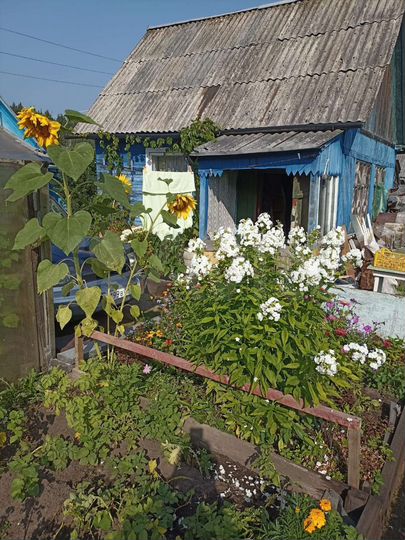Участок 4 сот. (СНТ, ДНП)