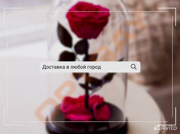 Роза в колбе. Любые размеры