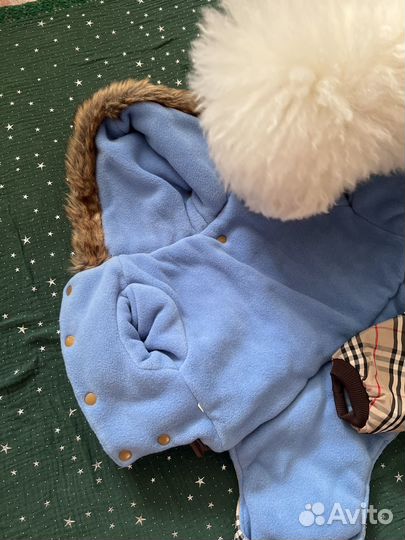 Комбинезоны для собак