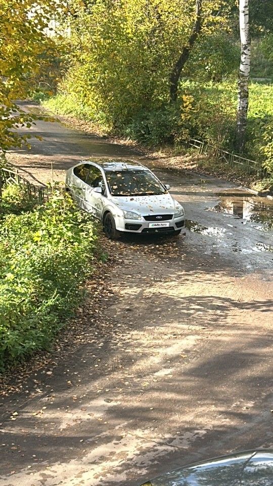 Ford Focus: фото владельца