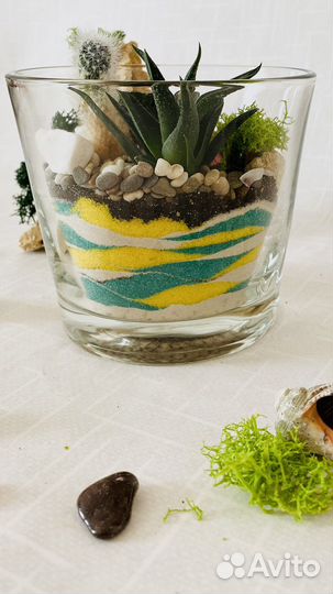 Флорариум с суккулентами