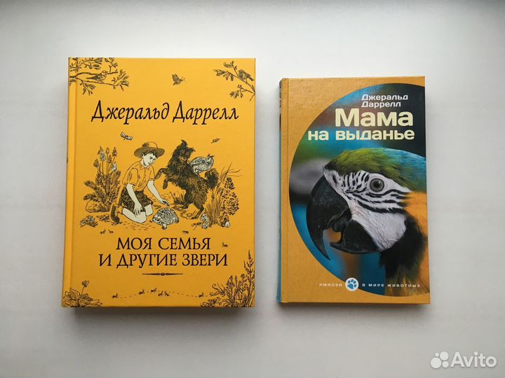 Даррелл: Моя семья и другие звери, Мама на выданье