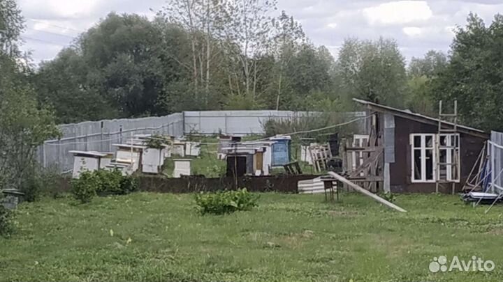 Продам ульи для пчел