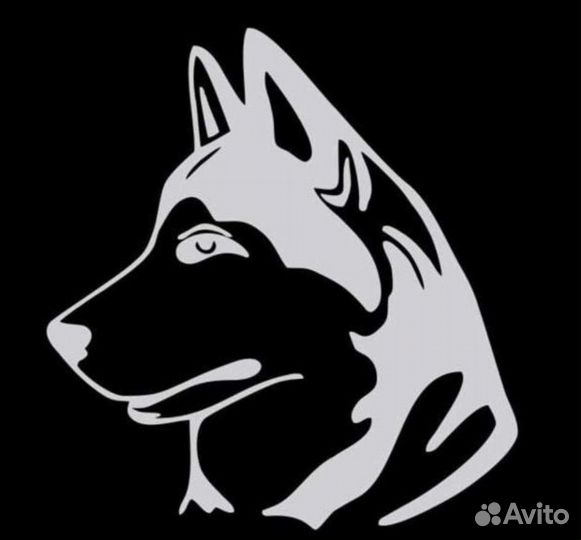 Корм Променад для собак и кошек