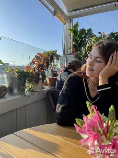 Репетитор по истории и обществознанию егэ и огэ