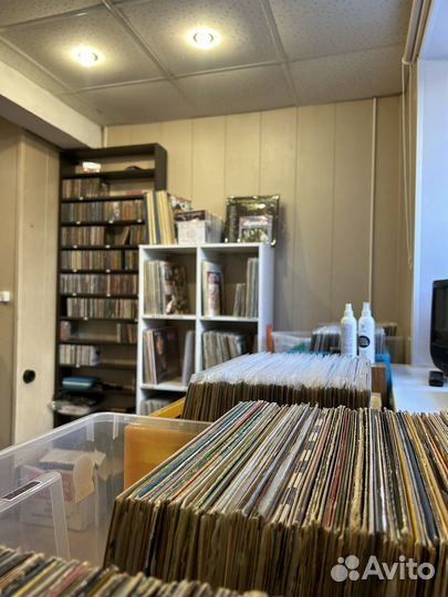 Виниловые пластинки