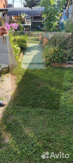 Стекло листовое лист 4 мм толщина