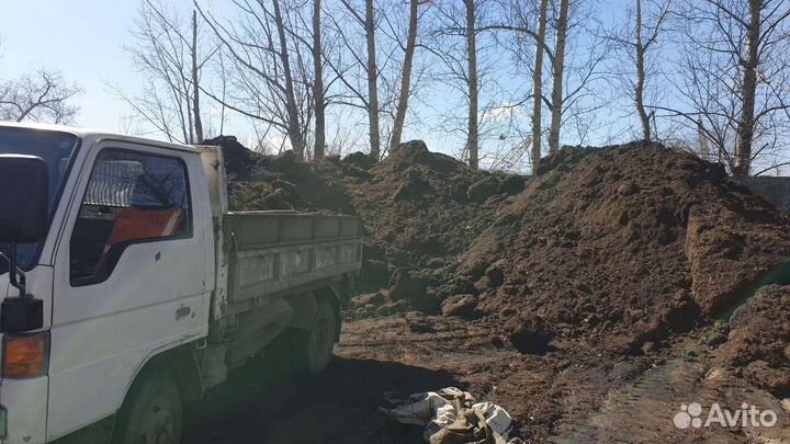 Навоз и перегной самовывоз