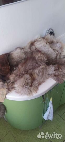 Мех песца для творчества