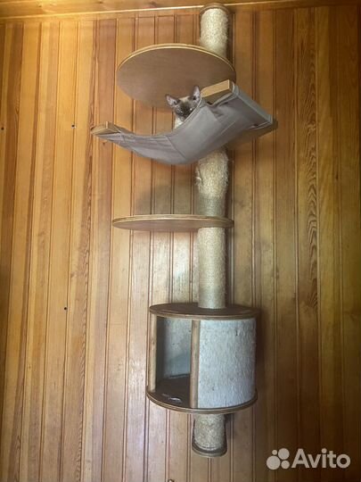 Комплекс настенный для кошек