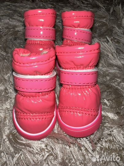 Обувь для маленьких пород собак