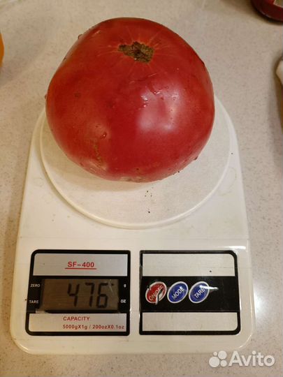 Помидоры