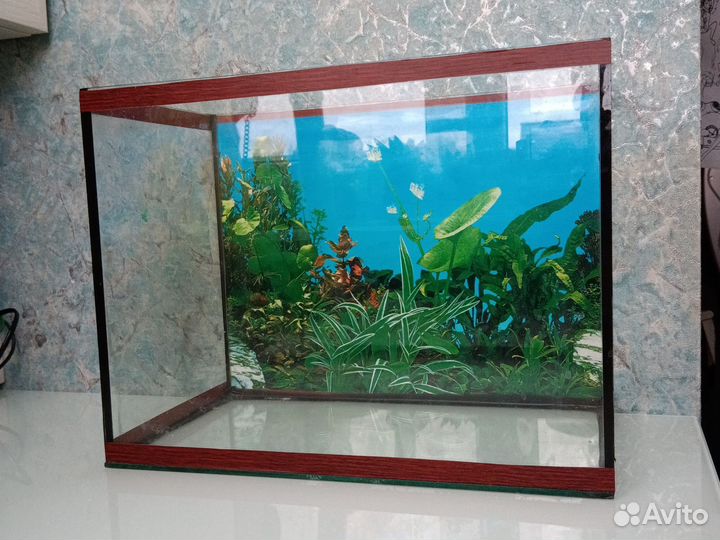 Аквариум
