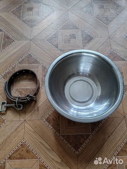 Ошейник и миска для собак