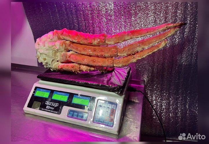 Краб Камчатский, конечности