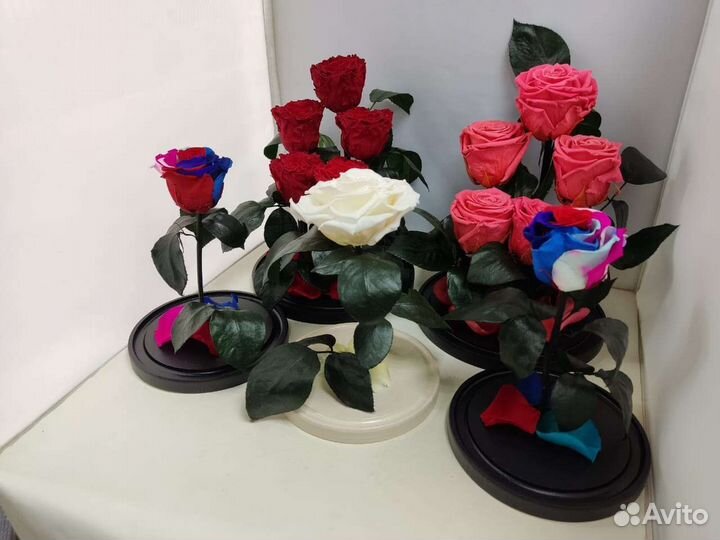 Роза в колбе оптом