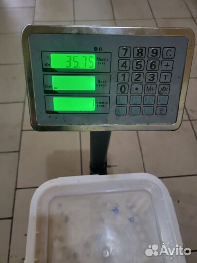 Мёд Алтайский 2023 год. С пасеки