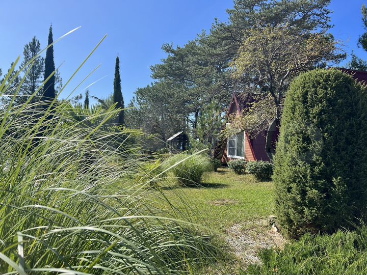 Дом 40 м² на участке 2 га