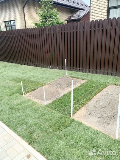 Рулонный газон