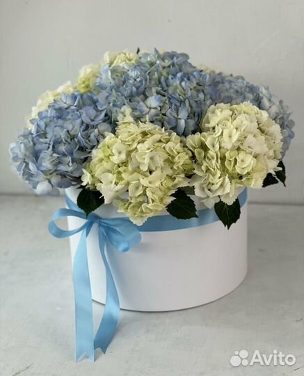 Гортензия цветы букет доставка цветов