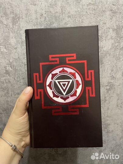 Книга «Тень горы»