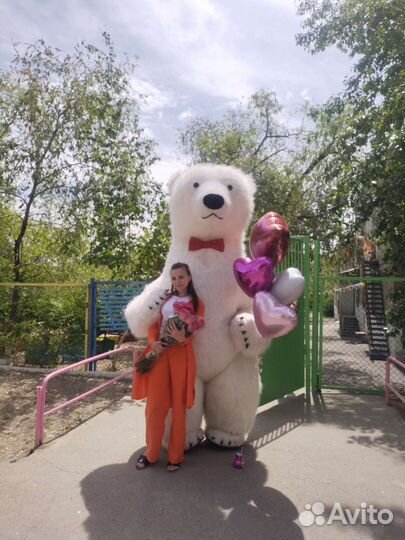 Белый мишка поздравление