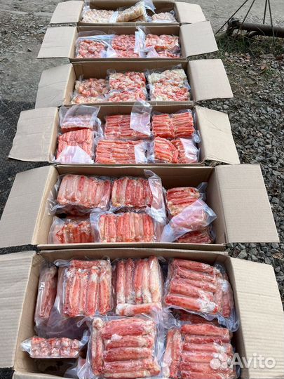 Камчатский краб фаланга