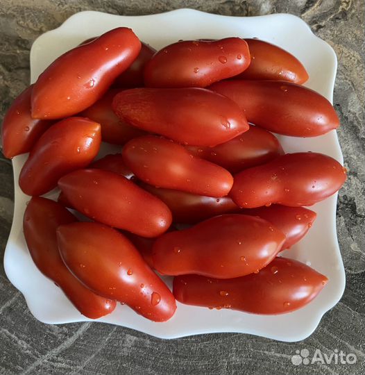 Коллекционные семена томатов
