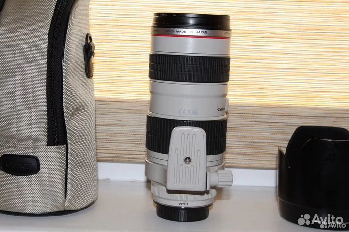 Canon EF 70-200mm f/2.8L USM