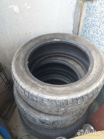 Estrada Winterri Wolf Energy 195/55 R15