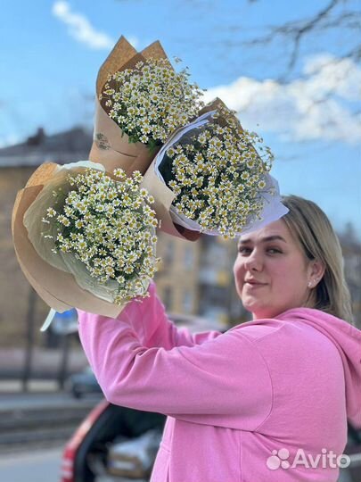 Ромашки букет ромашек