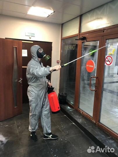 Дезинфекция помещений