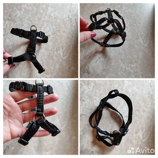 Шлейка для маленькой собаки